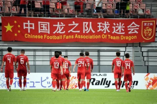 国内精品久久久久久久久野战
