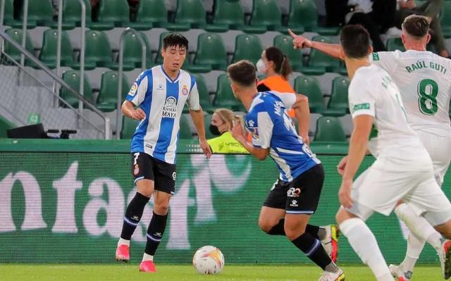 一本大道香蕉大vr在线吗视频
