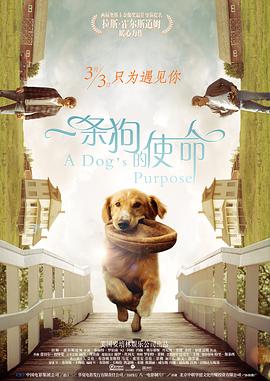 激烈叫床戏视频
