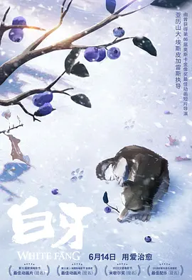 手机看片1024福利