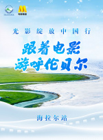 5g探花