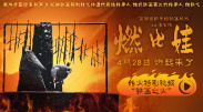 视频精品一区二区三区