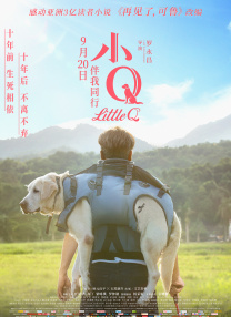 精品国产一区二区二三区在线观看