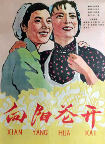 久草视频大全