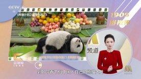 机机对机机30分钟无遮挡免费大全